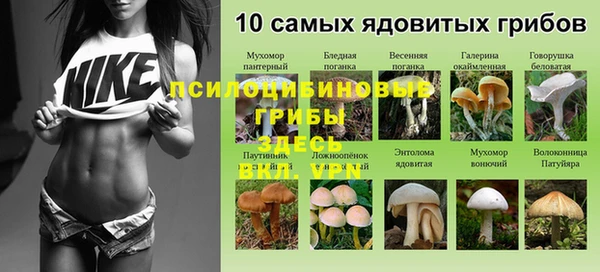 бутират Лагань