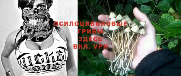 мяу мяу мука Ладушкин