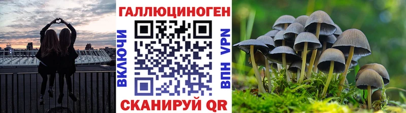 Купить закладки  Анапа  Псилоцибиновые грибы Psilocybine cubensis 